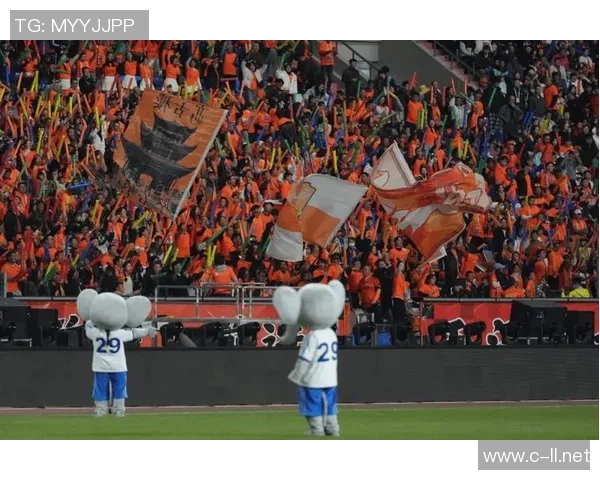 滇超联赛：云南生活的缩影在绿茵场上绽放全民热情与团结